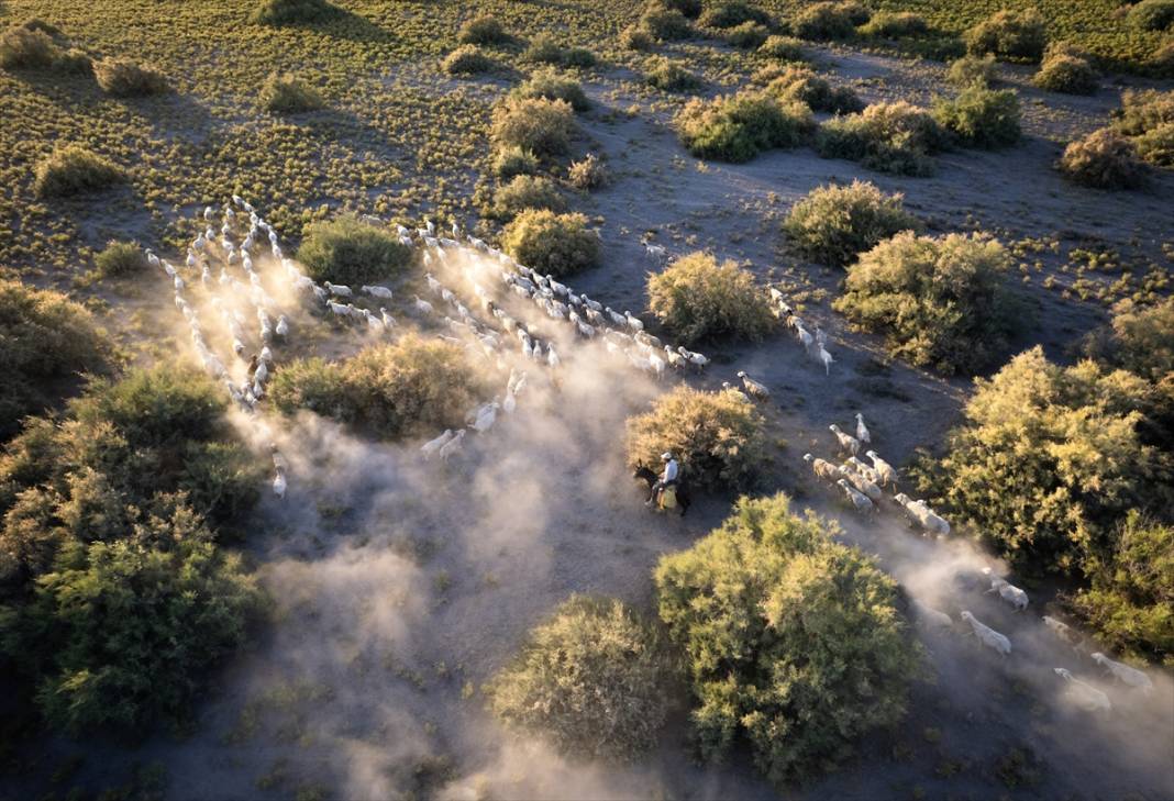 Konyalı besiciler kuraklığa çözüm buldu! Verim düşmeyecek 7